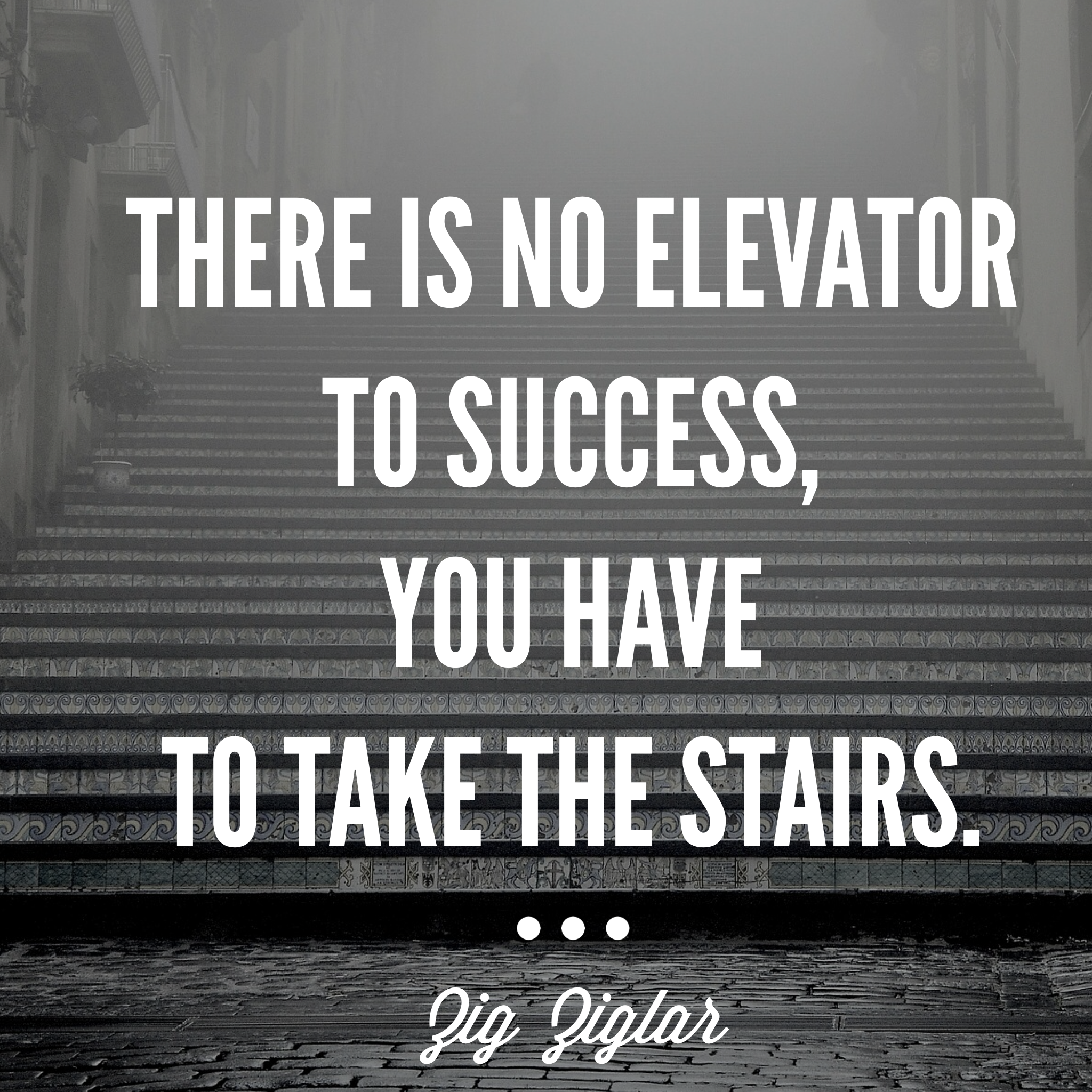 there is no elevator to success, you have to take the stairs -zig ziglar