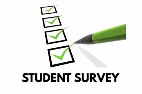 student survey