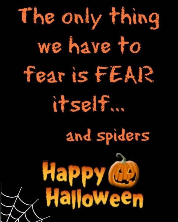 the only thing we have to fear is fear itself...and spiders. Happy Halloween