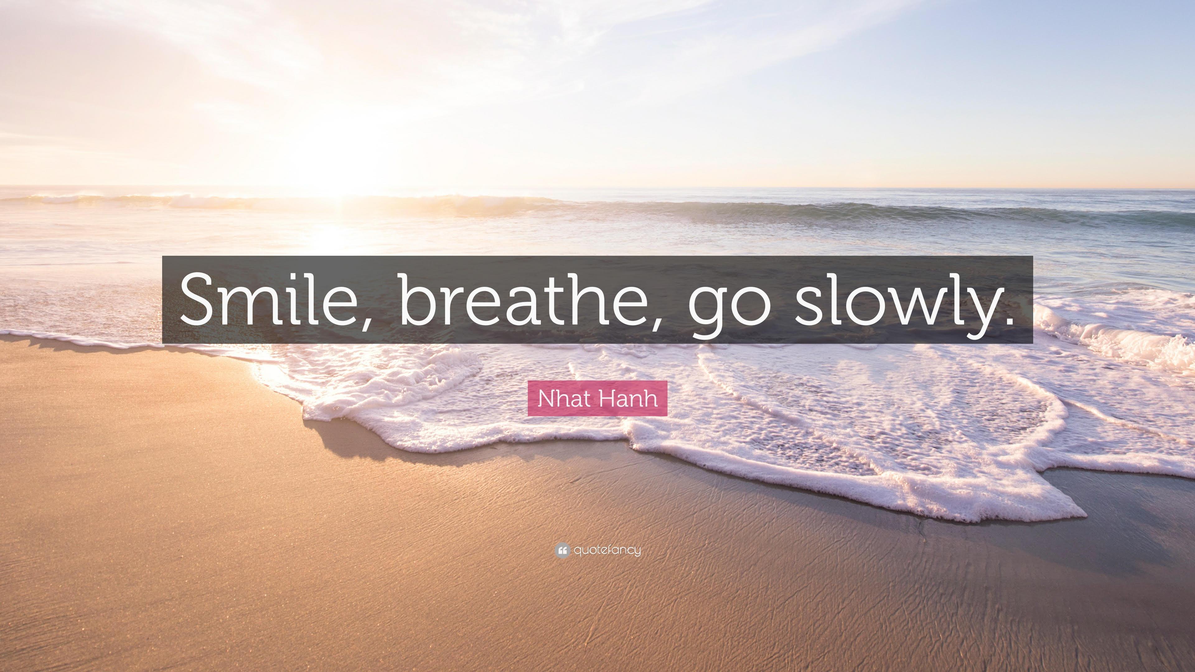 smile, breathe, go slowly. -Nhat Hahn