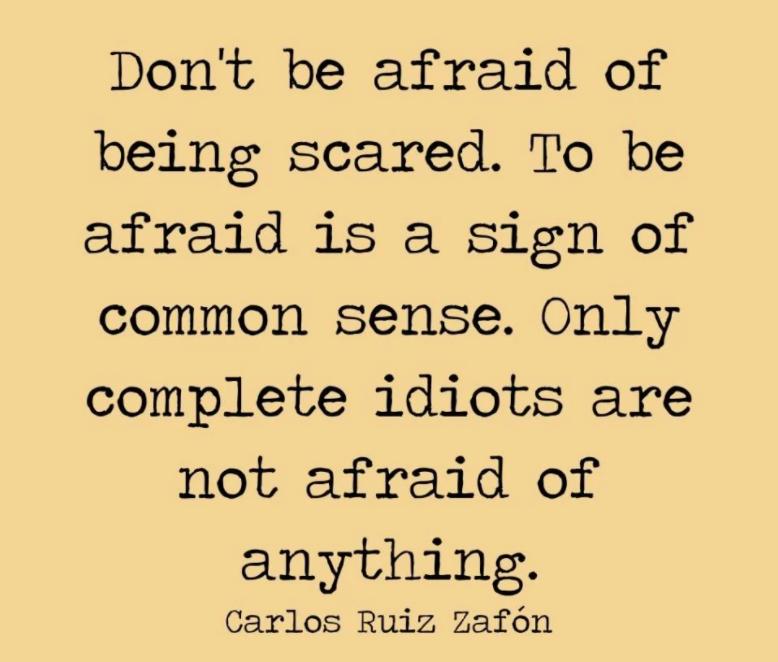 Don't be afraid of being scared. To be afraid is a sign of common sense. Only complete idiots are not afraid of anything. -Carlos Ruiz Zafon